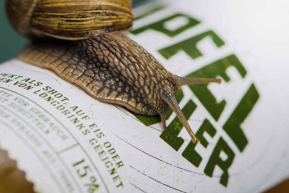 品牌包裝形象設(shè)計 品牌包裝形象設(shè)計