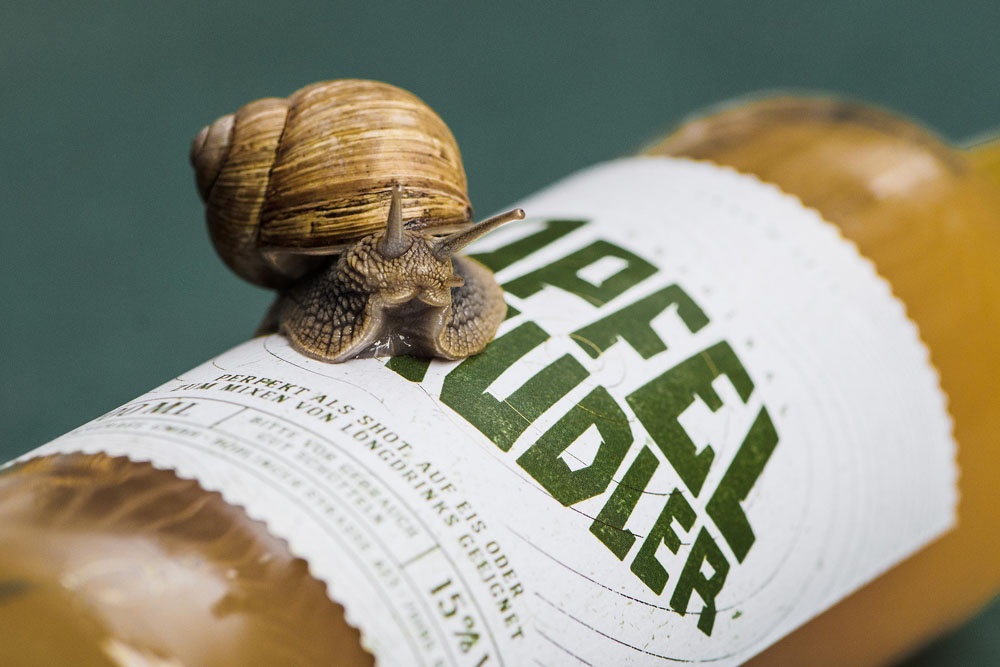 高端品牌logo設(shè)計 高端品牌logo設(shè)計