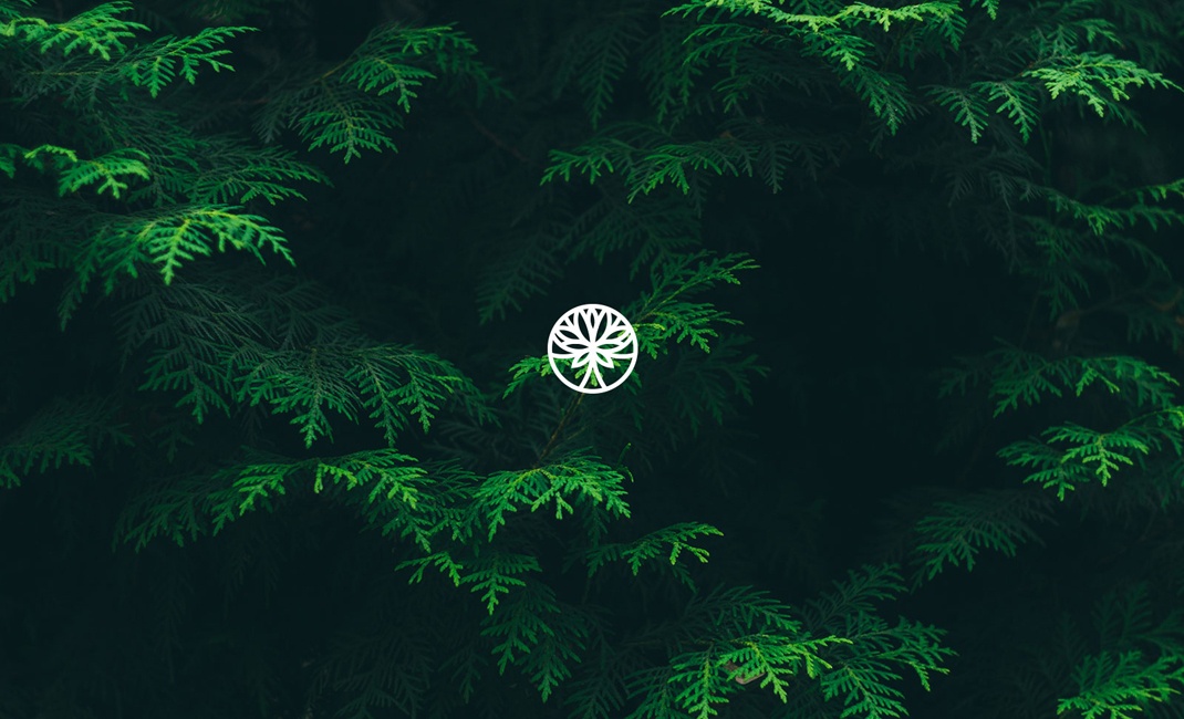 國外logo設(shè)計(jì)大全 國外logo設(shè)計(jì)大全